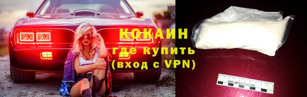 индика Абинск