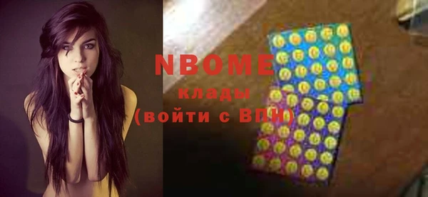 индика Абинск