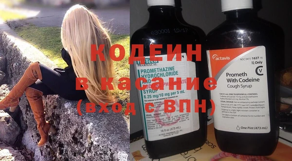 индика Абинск