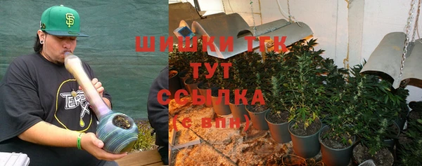 индика Абинск