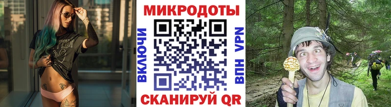 гидра ссылки Кинешма Галлюциногенные грибы ЛСД