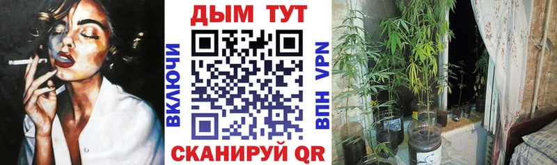 где найти наркотики  MEGA как войти  Марихуана ГИДРОПОН  Кинешма 